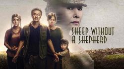 Ngộ Sát-Sheep Without a Shepherd
